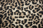 Reststück: 1,00m - Sweatshirt Stoff Animalprint